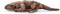 The Petting Zoo Komodo Dragon Stuffed Animal, Gifts for Kids, Wild Onez