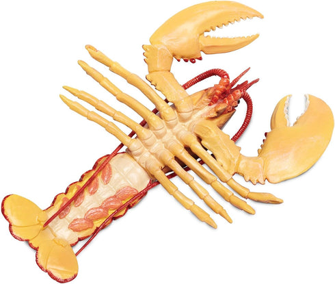 8" 3+ Safari Ltd. Maine Lobster Figurine - Realistic Crustacean Figure - Educational Toy for Boys, Girls, and Kids Ages