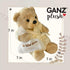 Get Well Soon Bear in Cream Robe with Blanket, Soft Plush Bear Gifts for Women, Men, Kids, Girls