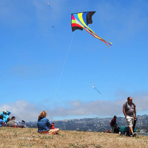 Mint's Colorful Life Delta Kite for Kids & Adults, Extremely Easy to Fly, Best Kites for Beginners