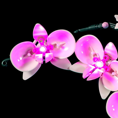 BRIKSMAX Led Lighting Kit for LEGO-10311 Orchid, Compatible with Lego Creator Expert Building Blocks Model, Set Not