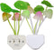 AUSAYE 2 Pack Sensor Led Night Light Plug-in Wall Lamp Color Changing