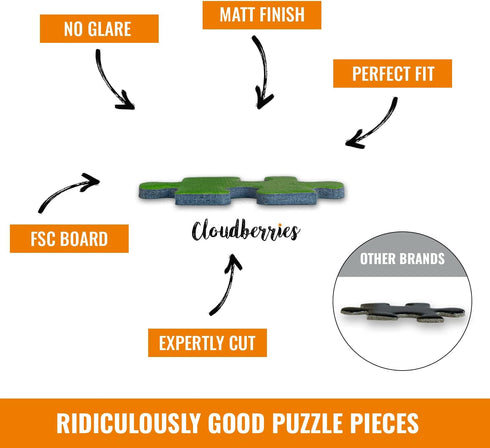 Curiosities – Detailed and Challenging Puzzle for Grown Ups, 1000 Pieces