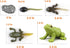 Montessori Frog Life Cycle with Flash Cards, Plastic Insects Tadpole to Frog Kit Toy, Realistic Animal Figurines
