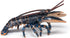 3+ 4.1 1.4 0.6 Papo - Realistic Lobster Figure Toy for Kids - Ages - Marine Life Collection - Educational Play Marine