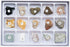 STEM Toy Rock Science Kit - Geology for Kids