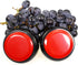 Voice Recorder Button, 30 Second Recording Button, Talking Buttons for Gift Education, Includes 2 AAA Batteries (Red)