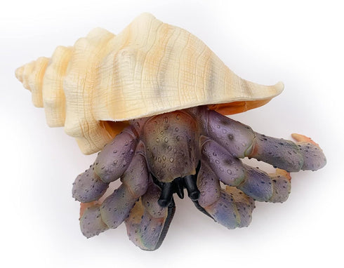 Gemini&Genius Sea Animal Hermit Crab Action Figure Toy for Kids, Realistic Ocean Crab Educational Role Play Toy