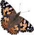 Insect Lore Two Cups of Caterpillars - Butterfly Garden Kit Refill Raise and Release Painted Lady Butterflies Includes