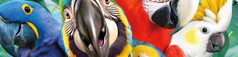 500 Ceaco - Selfies - Perfect Parrot - Piece Jigsaw Puzzle