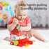 Vamotto 0-12 Crab Car Seat & Stroller Toy for Babies Months, Sensory Hanging Toy with Rattle, Mirror, Squeaker