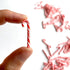 Aorvoras (20PCS) Miniature Candy Canes, Peppermint Embellishments, Non-Edible Tiny Mini Small Christmas Craft