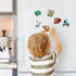 Kids Magnets for Fridge, Cute Animal Refrigerator Magnets for Toddlers, Educational Gift for Children, Full Back