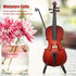 5.5in Dollhouse Miniature Wooden Cello with Bow Stand & Case, Musical Instrument Accessories Gifts