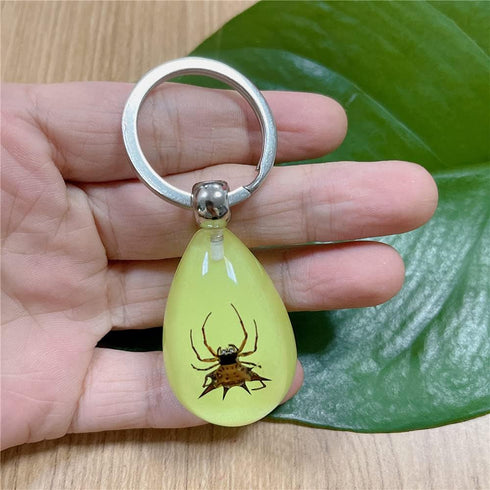 6 Pack Insect in Resin Specimen Collection, Luminous Glow in The Dark Keychain for Education