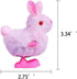 Max Fun 12Pcs Easter Wind Up Toys, Assorted Chicks & Bunny for Easter Party Favors