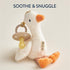Set 0-6 Itzy Ritzy Pacifier & Lovey - Natural Rubber Paci with Stuffed Animal - Detachable Plush Goose Pacifier Holder