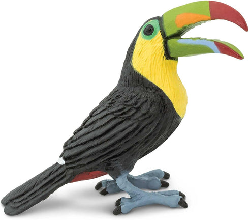 2.75" 3+ Safari Ltd. Toucan Figurine - Lifelike Bird Figure - Educational Toy for Boys, Girls, and Kids Ages
