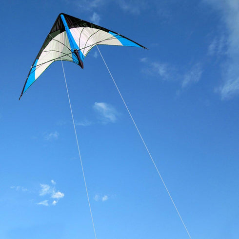 HENGDA KITE Upgrade Star Rhyme 48 Inch Dual Line Stunt Kite for Kids and Adults, Outdoor Sports