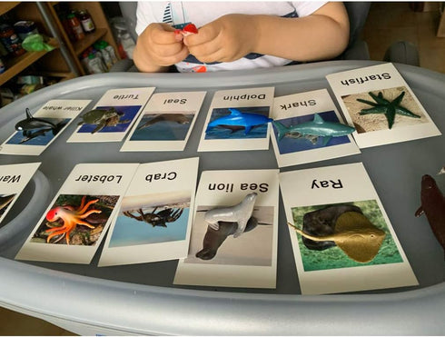 MEROCO Montessori Animal Match Game Cards - Marine Animal Matching Montessori Language Materials for Toddlers Preschool
