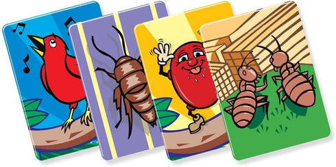 R&R Games Birds Bugs & Beans - Family Game for Fun Gatherings