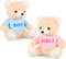 2 Pack Gender Reveal Bears, 14 Inch Blue and Pink T-Shirt Plush Bears for Baby Shower Decoration