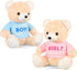 2 Pack Gender Reveal Bears, 14 Inch Blue and Pink T-Shirt Plush Bears for Baby Shower Decoration
