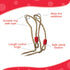 IFOYO Tree Swing Seat, Outdoor Play Accessories for Kids, Comfortable Plastic Swingset for Little Tikes, Red