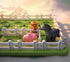 60 5+ SmartGames Smart Farmer Barnyard STEM Focused Cognitive Skill-Building Logic Puzzle Game with Challenges for Ages