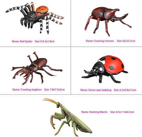 Insect Bug Toy Figures - 5pcs Realistic Ladybug Spider Action Models for Toddlers Educational Learning Gifts