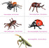 Insect Bug Toy Figures - 5pcs Realistic Ladybug Spider Action Models for Toddlers Educational Learning Gifts