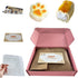 Taba Squishy Mystery Box, 2 Pack Cute Squishies Random, Bread or Cartoon