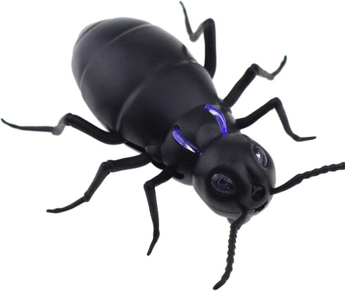 Tipmant RC Car Vehicle Remote Control Ants Electric Insect Kids Toy for Birthday Christmas