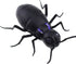 Tipmant RC Car Vehicle Remote Control Ants Electric Insect Kids Toy for Birthday Christmas