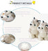 9.8-Inch Cute Stuffed Husky Dog Plush Toy - Perfect Gift for Kids