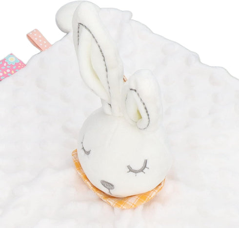 Baby Bunny Chewable Security Blanket, Enrich Senses Teether Blanket