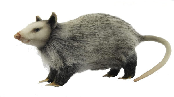 HANSA Opossum 12" (8041)