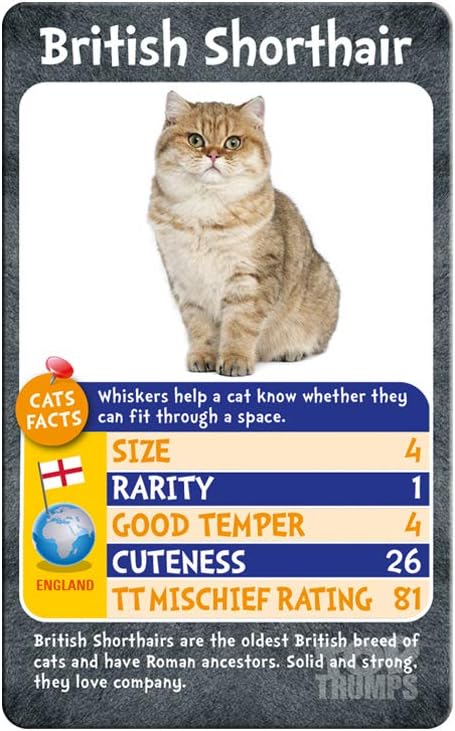 Cats and Kittens Top Trumps Card Game