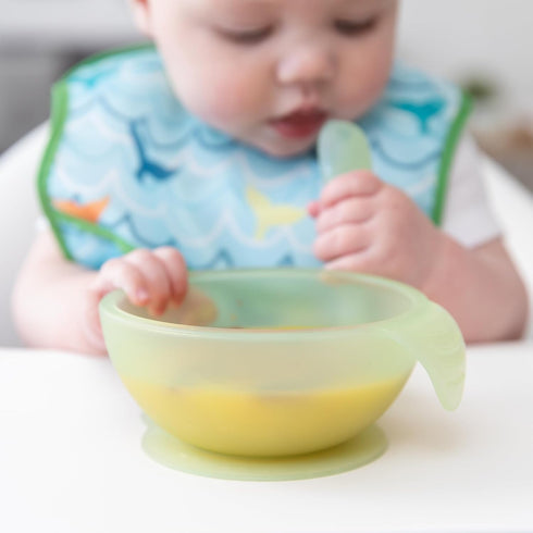 Bumkins Baby Bowl, Silicone Feeding Set with Suction for Baby and Toddler, Includes Spoon and Lid, First Feeding Set, Training Essentials for Baby Led Weaning for Babies 4 Months Up, Green Jelly by Bumkins