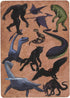 Paradise Cay Publications, Inc. Standard 52 Card Deck Playing Cards (Cryptid Creatures)