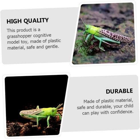 1pc Animal Model Christmas Ornaments, Educational Outdoor Playset Decor, Hanging Wall Decor Fake Grasshoppers Figurine