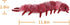 Apricot Lamb Insect Toys Plush Devil Centipede, Soft Cuddly Stuffed Animal Perfect for Kids 11.8 Inches