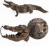 2 Pcs Simulated Crocodiles Model Figure Toy, Realistic Alligator Figurines Collection for Science Educational Props