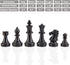 AMEROUS 10 Inches Magnetic Travel Chess Set with Folding Board, 2 Extra Queens, Storage Bag, Instructions for Kids and