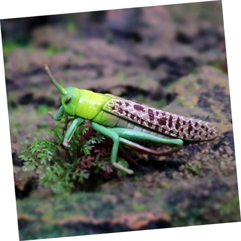 1pc Animal Model Christmas Ornaments, Educational Outdoor Playset Decor, Hanging Wall Decor Fake Grasshoppers Figurine