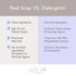 SoCal Suds & Company 2-in-1 Organic Foaming Shampoo & Body Wash, Gentle Baby Wash for Sensitive Skin, Lavender, 6oz