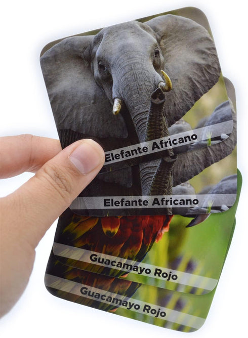 Juego de Memoria de Animales Salvajes en español - Wild Animals Memory Matching Game