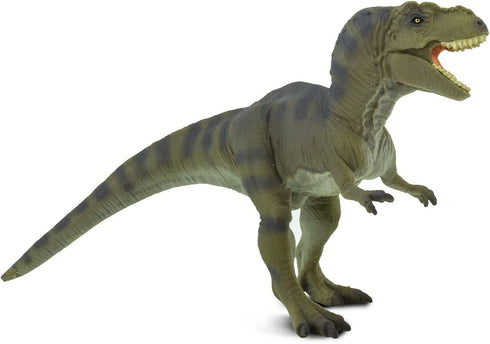 7" 3+ Safari Ltd. Tyrannosaurus Rex Figurine - Detailed Dinosaur Figure - Educational Toy for Boys, Girls, and Kids