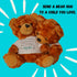 10" Penned Teddy Bear with Hug Me T-Shirt, Brown Bedtime Teddy, Gift for Emotional Support, Calm Children