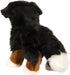 Douglas Stevie Bernese Mountain Dog Plush Stuffed Animal